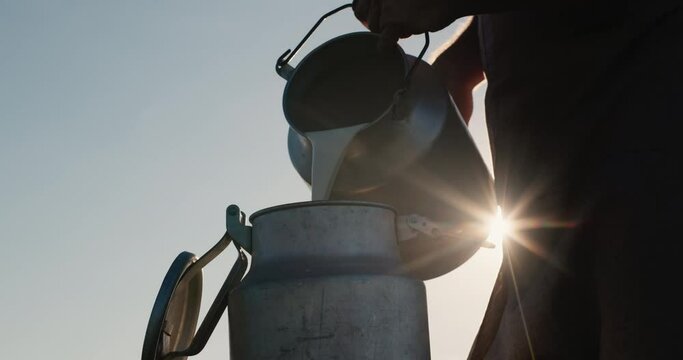 Farmer pours milk into can. Slow motion video