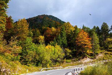 Asphalt road in the mountain range