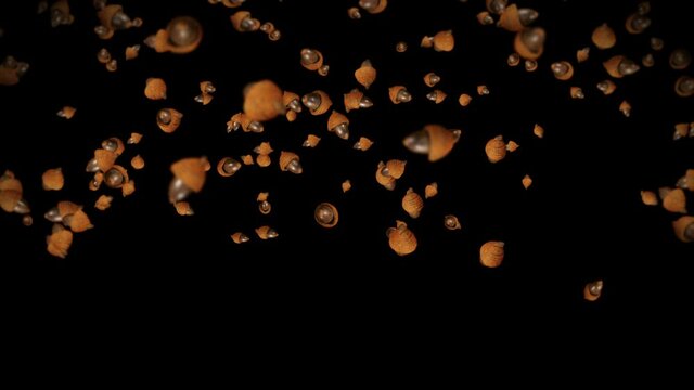 Flying many autumn acorns on black background. Symbol of fall, Oak nuts, Gifts of fall. 3D animation of acorn seeds rotating. Loop animation.