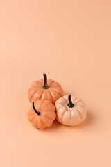 Creative Fall layout made of pumpkins. Autumn, Halloween or Thanksgiving season concept. Flat lay.