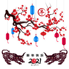 Happy chinese new year 2021 with cherry blossom flower year of the Ox