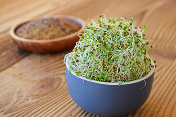 Sprouted alfalfa seeds in a bowl on wooden background Focus on sprouts in the front