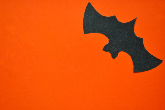Black paper bat lies on an orange background.