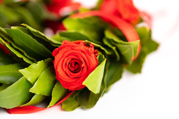 Corona di laurea con alloro e nastro rosso su sfondo bianco 