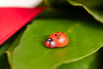 Corona di laurea con alloro e nastro rosso su sfondo bianco 