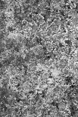evocative black and white image of texture of rusty steel plate