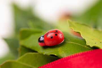 Corona di laurea con alloro e nastro rosso su sfondo bianco 
