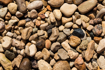 Wet Stone Pebbles Texture Or Stone Pebbles Background For Design