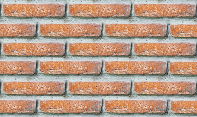 Fototapeta premium red brick wall