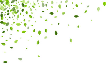 Olive Foliage Motion Vector Concept. Blur Greens 