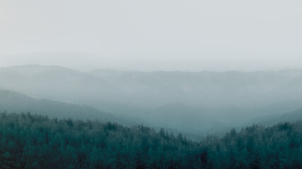Panorama von Nebel Landschaft im Schwarzwald - Wald Banner Hintergrund , düster / mythisch