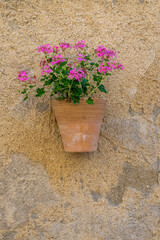 Blumenschmuck, Provence