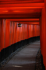 Fototapeta premium Red passage
