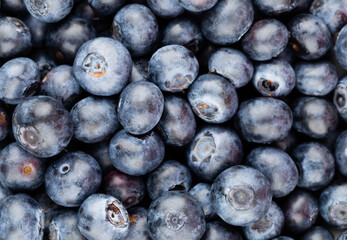 Fresh blueberry background. Texture blueberry berries close up.