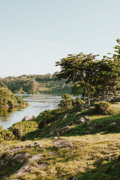 Sunny scenic view Nile River, Ginger, Uganda
