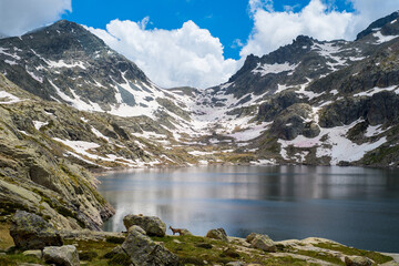 lac de montagne en été sur fond de pics enneigés et un bouquetin au premier plan 