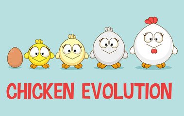 Cute Little Chicken in different ages growth stages. Cultivation of Chicken cartoon concept. Rooster evolution. Farm animal.