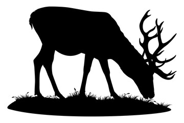 Deer grazing. Vector isolated illustration on white background