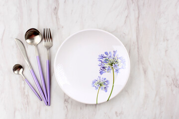 Empty White Plate for Background