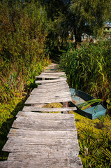 Small wooden pier near the river. Quality image for your project