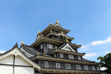 Fototapeta na wymiar Roof of Okayama-jo or Okayama Castle