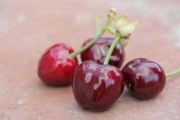 Cherry | Cerise