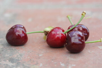 Cherry | Cerise