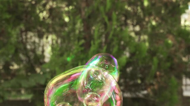 Colorful bubbles rising up and spreading on air with green leaves background
