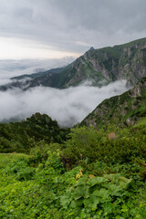 Tatry - Góry w chmurach - Czerwone Wierchy, Giewont, Zagonna Turnia, Wielka Turnia, Czerwony...