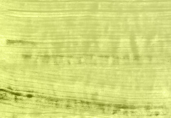 green grunge background