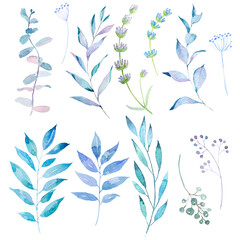 Watercolor hand painted leaves, foliage