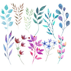 Obraz premium Watercolor hand painted green leaves, foliage