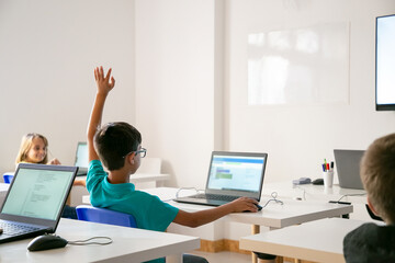 Mixed-race boy in glasses rising hand for answer during lesson. Back view of kid sitting at table...
