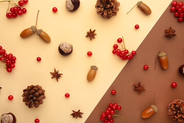 Autumn composition on brown. Pattern made of autumn leaves, acorn, pine cones. Flat lay, top view.