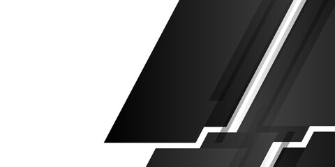 Abstract geometric white and black color elegant background. vector illustration 