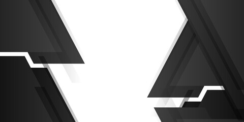 Abstract geometric white and black color elegant background. vector illustration 