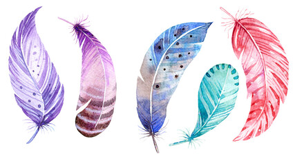 Watercolor feathers,hand painted colorful feathers