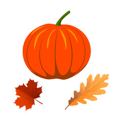  Halloween, Autumn, pumpkin, oak and maple leaves. Vector illustration  on an isolated background.Template for Halloween holiday design, banner, print, poster, invitation.