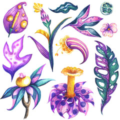 tropical fantasy flower silhouette with colored pencils painted texture. Doodle style element