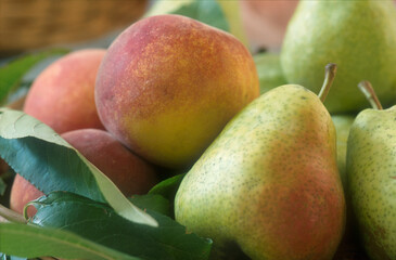 Natures mortes de fruits