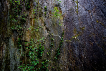 Les Pans de Travassac et son ardoise