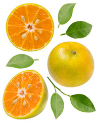 Fresh Tangerine Citrus with leaf on white, Collection of Mandarine orange isolated on white background with clipping path.