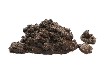 Mud pile isolated on white background, top view