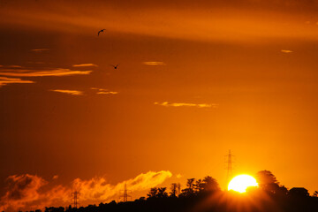 Last light