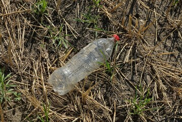 Fototapeta premium garbage from one white plastic bottle with a red cork lies on gray dry grass and ground in nature
