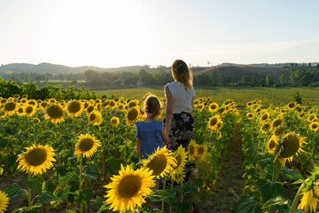 mamma e bambina per la mano al tramonto in un campo di girasoli