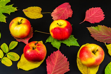 Apples on autumn leaves, on a black background