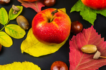 Apples on autumn leaves, on a black background