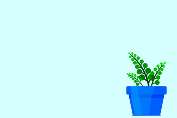 Small plant in pot isolated on white background by front view