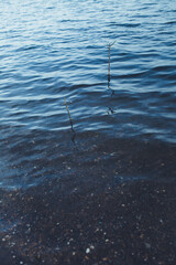 Close-up of water texture, smooth blue waves of water on the shore beach, color landscape photo of water 